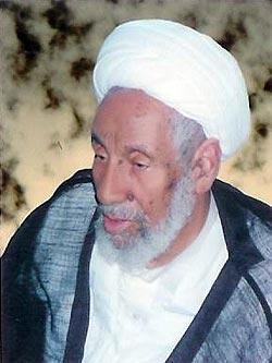 الشيخ محمد علي العمري
